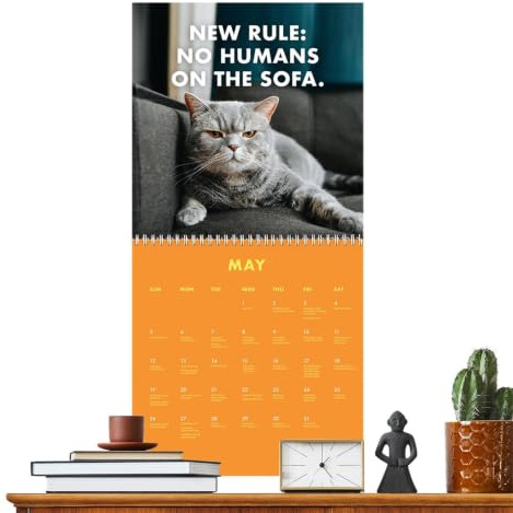 Calendrier Mural Chat 2027 12 Mois Décoratif Chatons Drôles en Colère