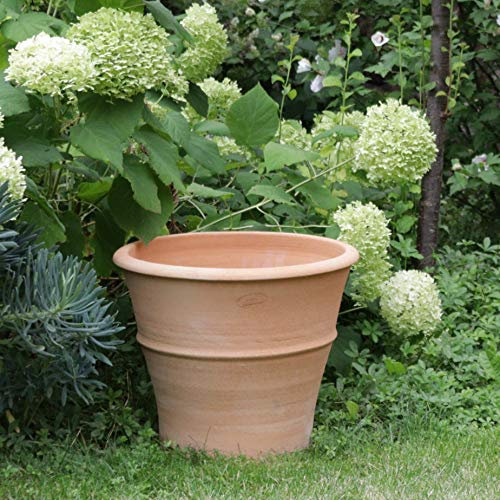 Palatina Werkstatt Pot de fleurs Yucca en terre cuite, 40 cm, 100 % fabriqué à la main, pièce unique, décorez votre maison avec ce pot de fleurs résistant à l'hiver pour l'intérieur et l'extérieur