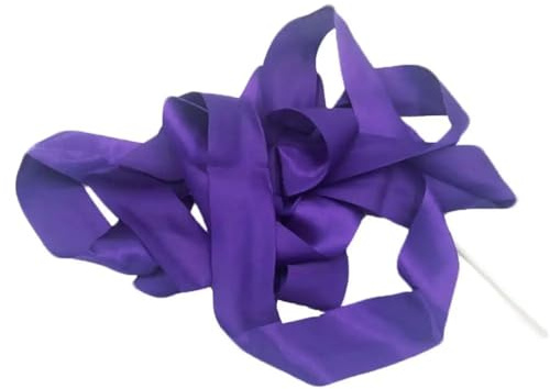 DSFIHJO Dansband 4 m dansband remsa gym rytmisk konst gymnastik balettstreamare snurrande stav stav stav färgglad fitness gymnastikband