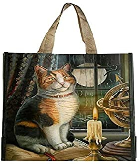 DV Fashions Puckator Lisa Parker Adventure Awaits Einkaufstasche Katze