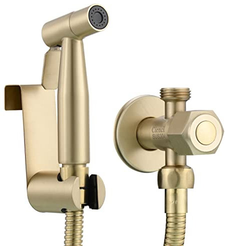 Tecmolog Grifo Pulverizador de Bidé de Agua Fría Kit Ducha Bidet Inodoro Acero Inox con Manguera y Soporte para Higienica, Oro Cepillado, WS024J2F3