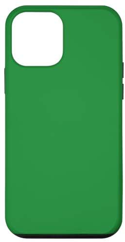 iPhone 12 mini Green Case