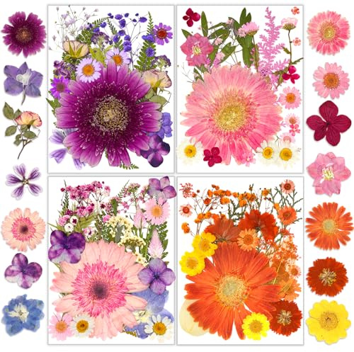 Dried Pressed Flowers, Resiners Dried Flowers for Candle Making Real Natural Pressed Flowers Dry Leaves Kit for DIY Crafts Resin Soap Scrapbook Card Making Jewelry (Gerbera Daisy 100pcs)