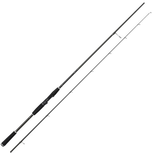 Westin W2 Finesse Shad 9' / 270cm H 12-38g - Spinnrute