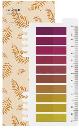 Ordinate 200 Stück Sticky Notes, Transparent Haftnotizen zum Markieren, Haftstreifen, Seitenmarkieren, Ästhetischer Haftnotizzettel, Full Color of Gradient (I-200 Stück Golden Rose)