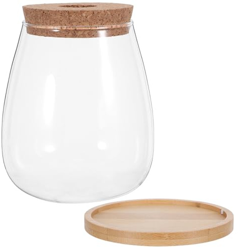 DECHOUS Kit de 2 Vases Hydroponiques en Verre pour Culture de Plantes D’intérieur, Grand Format avec Bouchon en Liège Perforé et Plateau en Bambou, Récipient pour Propagation