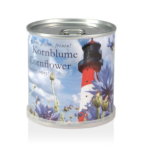 MacFlowers Extragifts Fiori in scatola - Fiordaliso