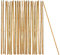 BigDean 50x Pflanzstab Bambusstab 105 cm x 8-10 mm Bambus Rankhilfe Pflanzstab Tonkinstab 100% Naturprodukt Pflanzstäbe Bambusstäbe Bambusstangen