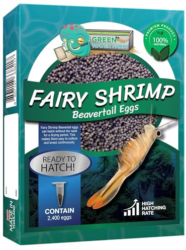 Greenwaterfarm [Fairy Shrimp Beavertail Eggs] Gillfoot Beavertail Eggs; Live Fish Food for Hatching, Suitable for Feeding Betta Fish