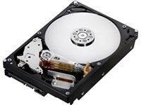 Hitachi - Deskstar 7K1000.B - Hard disk - 1 TB - interno - 3.5'' - SATA-300 - 7200 giri/min - buffer: 16 MB