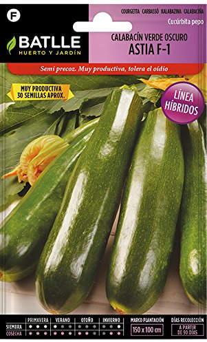 Semi orticole ibride - Zucchine Verde Scuro Astia F-1 - Batlle