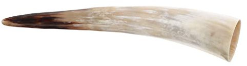 Holibanna Jarrón De Cuerno Natural 30-40 Cm Decoración Tribal Soporte De Pared Acento Rústico para Arreglo Floral Piezas Artesanales