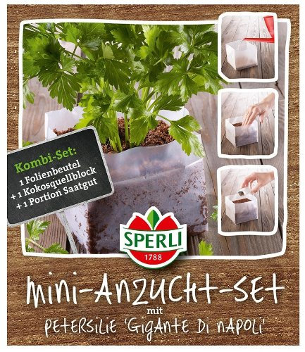 Sperli 84404 Petersilie Gigante di Napoli Mini-Anzuchtset (Petersiliensamen)
