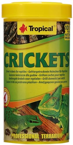 Crickets 250ml / 25g - Grillons seches pour Reptiles et Amphibiens