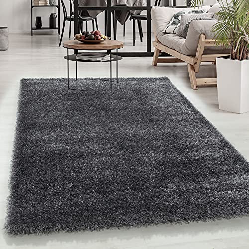 Carpetsale24 Teppich Wohnzimmer Shaggy Einfarbig Design 120 x 170 cm Grau - Hochflor Teppich Schlafzimmer Luxuriöse Kuschelig und Super Weich Flauschiger Teppich Langflor 50 mm Florhöhe Rechteckig