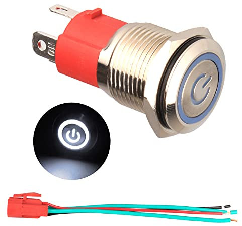 GUUZI 220V / 15A Interruptor de Botón de Enclavamiento NO, Impermeable Luz LED Blanca Iluminada 19mm Botón de Encendido de Metal con Cable de Enchufe