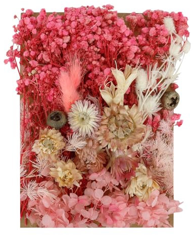 Dried Flowers For Crafts,White Dried Flowers,Pink Dried Flowers,Dried Pressed Flowers For Crafts,Mixed Diy Set For Arts & Crafts, Resin, Scrapbooking, Card Maki, Bookmarks