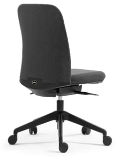 boulies NUBI Lite Ergonomic Office Chair, Computer Task Adjustable Chair, Armless Swivel Chairs for Home Office Conference Study Room (Charcoal, NUBI Lite)