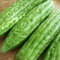 Rotyroya 100 Unids Verduras Verdes Momordica Charantia Semillas De Melón De Calabaza Amarga, Planta De Jardín Semillas de calabaza amarga