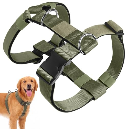 Olcyren Harnais Anti Traction pour Chien, Arnet pour Chiens avec Attache Devant, Réglable, Respirant, Facile à Mettre, No Pull Nylon Dog Harness, Gilet pour Chiens Moyen et Grand (Vert, M)