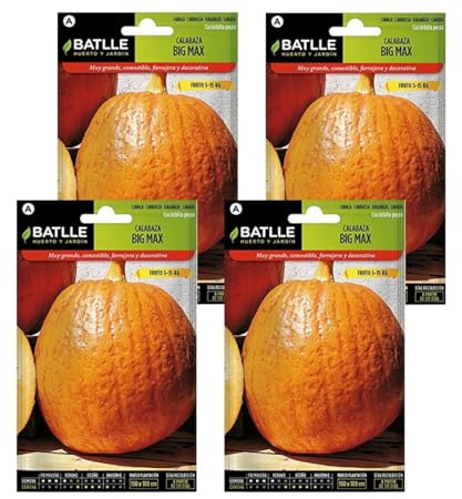 Pack 4 Semillas de Calabaza big max en sobre de Semillas Batlle.