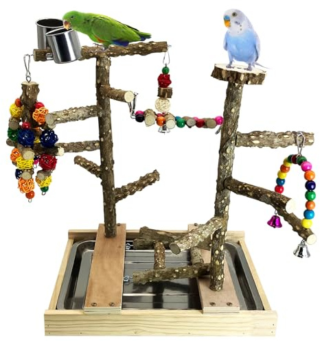 Tfwadmx Bird Playground Natural Wood Bird Play Stands Parrot Perch Stand with Removable Tray Climb Ladders Swing Chewing Toys for Lovebirds Cockatiels Budgies