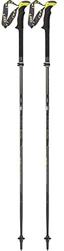 Leki Micro Vario Ti System