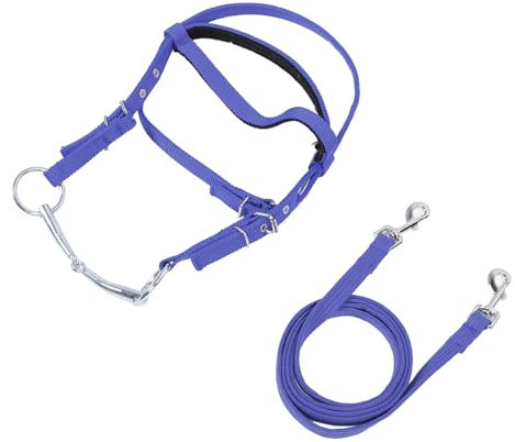 Dilwe Rêne de Bride de Cheval Réglable, élastiques en Corde de Rêne équestre en Nylon élégant (L)