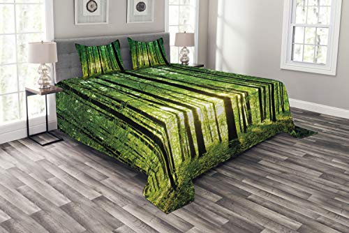 ABAKUHAUS Wald Tagesdecke Set, Grüner Wald Sonnenaufgang, Set mit Kissenbezügen Waschbar, für Doppelbetten 264 x 220 cm, Grün Schwarz