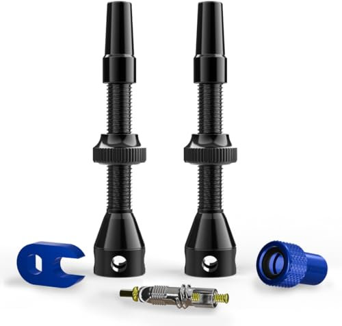 Shredr. Tubeless Ventile Set | Presta Ventile für Schlauchlos-Reifen | Superleichtes Alu, bunt eloxiert, französisches Ventil | inkl. Ventil-Adapter, Ersatz-Ventil und Werkzeug. (schwarz, 44mm)