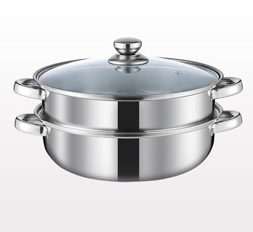 Steamer Pot for Cooking 5.0-Quart Steam Pot with Lid 2-tier Multipurpose Stainless Steel Steaming Cookware with Handle for Vegetable, Soups, Stews and Pasta