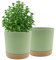 QCQHDU Bumentöpfe 2er Pack 25.4cm,Bumentöpfe für Zimmerpflanzen mit Entwässerungslöchern und abnehmbarem Boden,Untersetzer Modern Dekorativ für Garten Pflanzgefäße(Grün 25.4cm