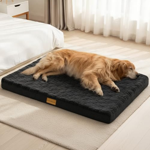 Jolibean Panier Chien Grande Taille Orthopédique, 91x61 cm