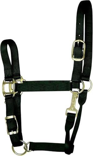 Hamilton Quality Adjustable Horse Halter, 800-1100 lbs, Black