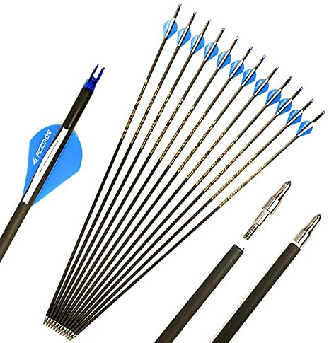 Spine 350 Flèche 26 Pouces Flèche Flèches Carbone Flèche Cible Flèche de Chasse Arc à Poulies Arc Classique Adulte Jeunesse Tir à l’Arc Entraînement 12pcs