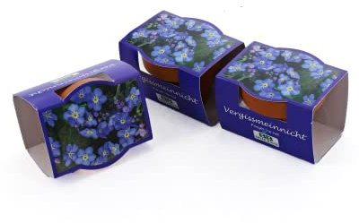 Bull & Bear 3er Set Minipflanzset Vergissmeinnicht, 3X Blumensamen im Topf 40mm, Mini Blumen als Anzuchtset mit Pflegeanleitung