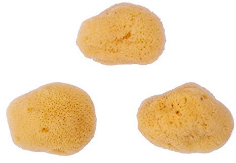 Repino Aquarellschwamm Naturschwamm Künstler Aquarell Schwamm Set - feinporig - 3 Stück