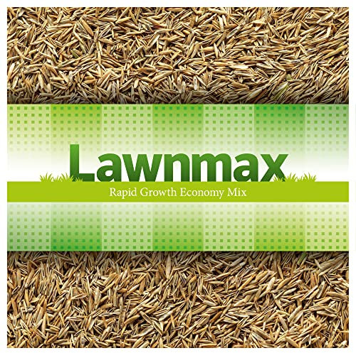 Lawnmax – Grass Seeds Fast Growing, Rapid Growth Economy Mix for Hard Wearing, Shady Grass, New Lawns and Patch Repair (1KG)