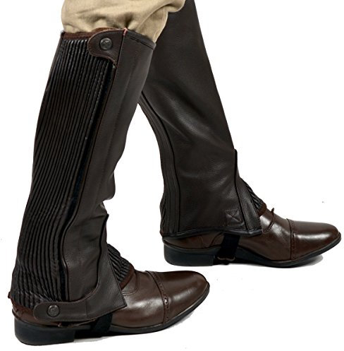 Riders Trend Chaps, kniehoch, Vollnarbenleder Braun Braun - Chocolate Brown X-Small; 38,1 cm (15 Zoll)