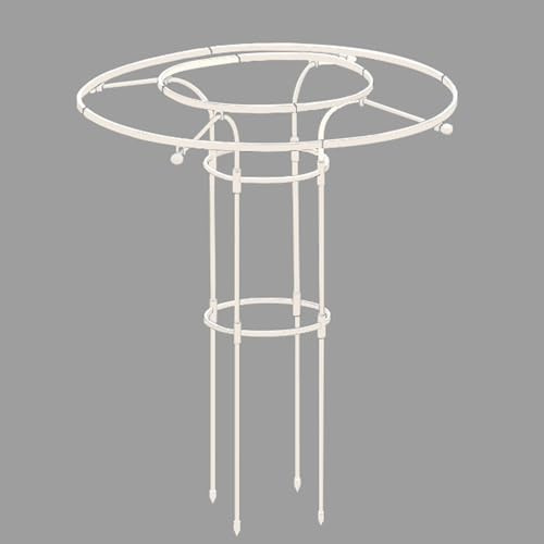 Vertikal trädgårdsspaljé för klätterväxter 210 cm metallstativ, rostfritt, utomhus blomställ för blåregn, rosor och vinrankor, stödbur (vit 180 cm)