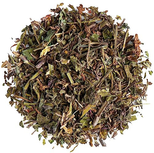 Lierre Terrestre Herbe Qualité Biologique - Gléchome - Rondelotte - Rondette - Glechoma Hederacea