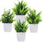 Bafenli 4 Pièces Mini Plantes Artificielles Verdure Plastique Faux Plantes avec Pot pour Maison Salle de Bain Bureau Table Décoration