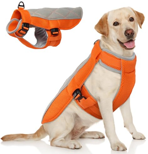 Hjumarayan Gilet Rafraichissant pour Chien, Manteau Confortable de Refroidissement Respirant, Harnais Rafraîchissant pour Journées Chaudes d'Eté, Orange L