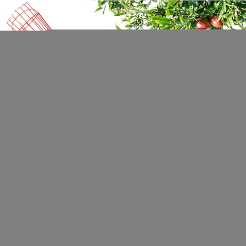 Fruit Picker Basket – Telescopic Picker Pole Stainless Steel with Basket, Portable Rustproof Detachable Lightweight Fruit Piicker for Plum, Pear, Designed to Help Reach High Branches Safely