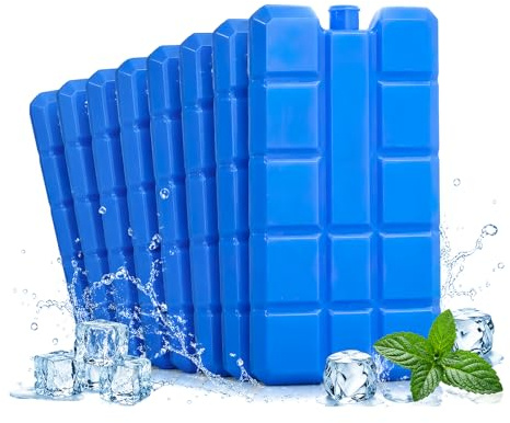 dellyy 4 blocchi refrigeranti per borsa frigo da 200 ml, ultra sottili e refrigeranti, borse termiche per esterni, per mantenere il cibo fresco, per campeggio e viaggi (8, blu)