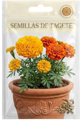 Flores Ornamentales para Borduras y Macetas con Semillas de Tagete – Planta de Exterior DECOALIVE