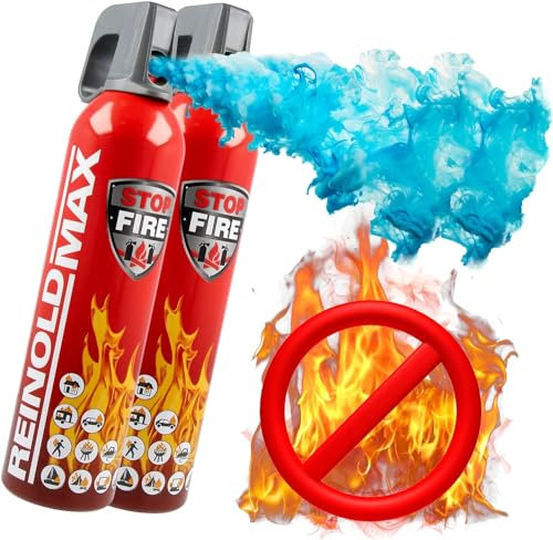 ReinoldMax Piccolo estintore per auto, mini estintore per barca, estintore per camper, estintore elettrico, Aerosol 5 in 1 per tutti gli incendi, estintore commerciale, estintore ad acqua da 750ml
