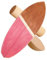 Holz Balance Board mit Rolle & Halbkugel - Balancierbrett für Gleichgewichtstraining - Kinder und Erwachsene - Inkl. Trainingsball & Anleitung