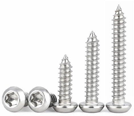 HAISHANG 50 Pièces M5 x 25 mm Vis Autotaraudeuses en Acier Inoxydable A2 V2A, Vis à Tête Ronde Torx, Filetage Complet, Tête Bombée Argentée