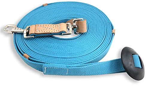35' Flat Cotton Web Lunge Line with Bolt Snap & Rubber Stop - By Southwestern Equine (35', Turquoise)